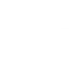 CBC News Toronto