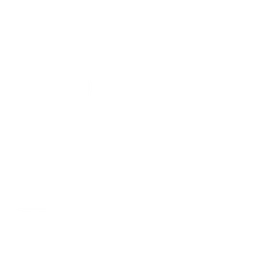 El 33