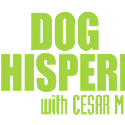 Hundehviskeren