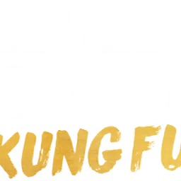NonStop Kung Fu