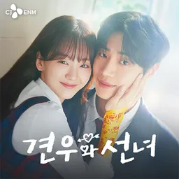 tvN 견우와 선녀