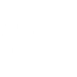 Zuffa Boxing Prelims