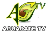Aguacate TV