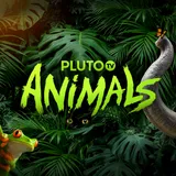 Pluto TV Animals