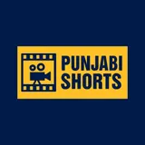 Punjabi Shorts