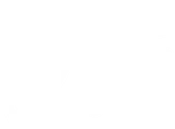 Real Wild