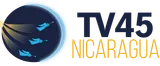 TV 45