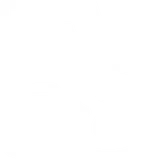 TV38 Sudost-Niedersachen