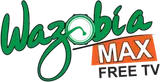 Wazobia Max TV Abuja
