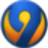 WSOC-TV 9.1
