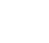 Wu Tang Collection
